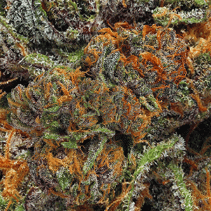 MyD Delivery Product Image